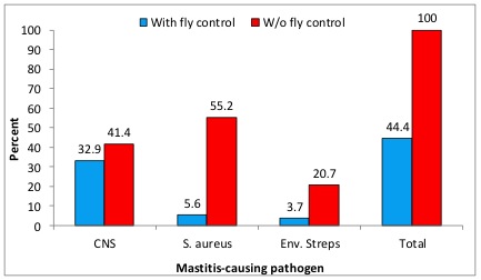 Bar graph of prevalence of mastitis with and without fly control. Mastitis is more prevalent without fly control for each of the mastitis-causing pathogens.